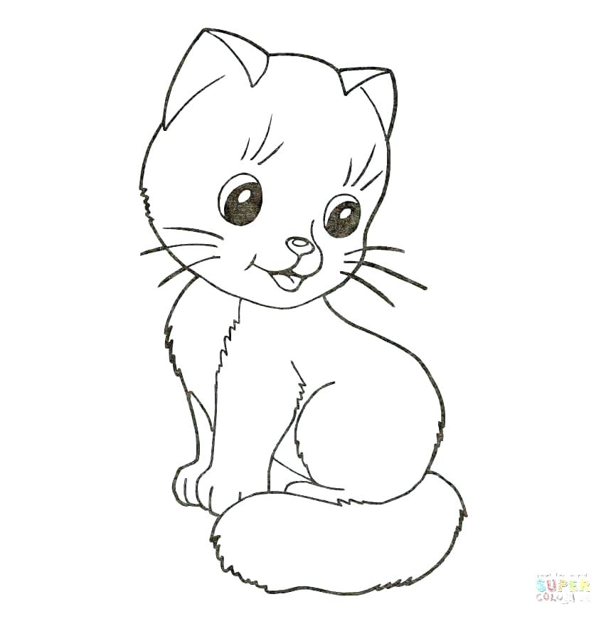 852x870 Australian Animal Colouring Sheets Animal Coloring Pages Animal