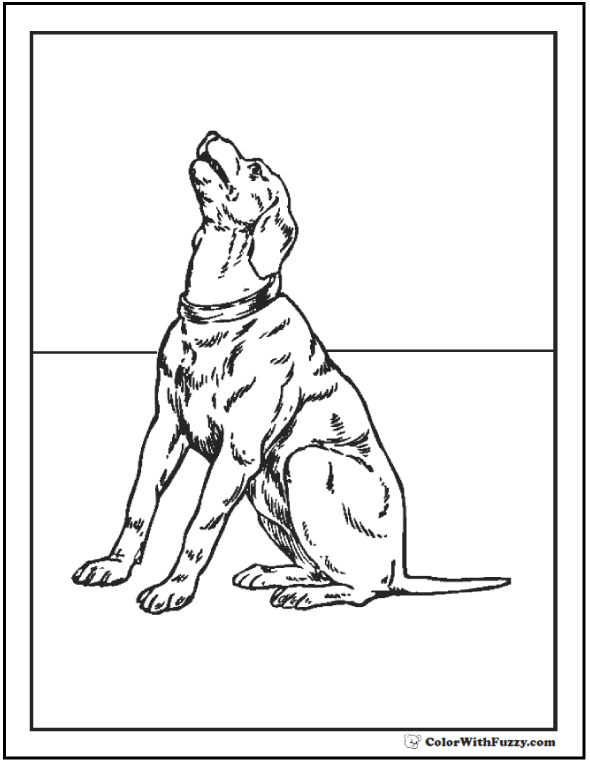 Australian Cattle Dog Coloring Pages
