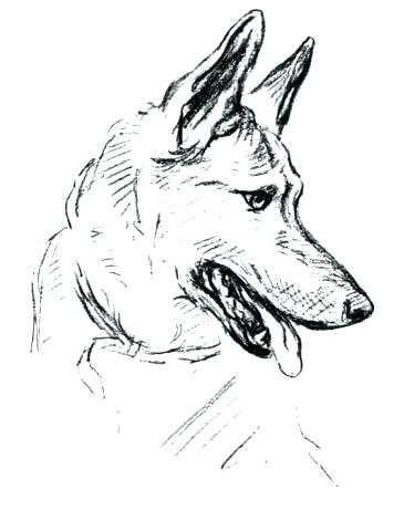 365x480 Australian Shepherd Coloring Pages 8 Pics Of Yoga Coloring Pages