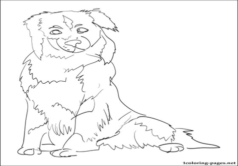 476x333 Australian Shepherd Coloring Pages Color Bros