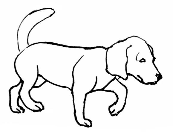 579x451 Dogs Coloring Pages Free
