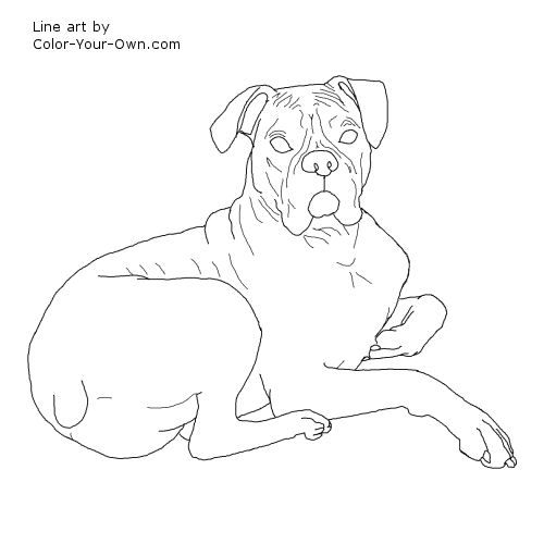 500x500 Laying Down Coloring Pages