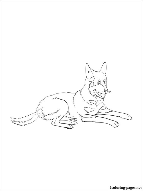 560x750 Australian Cattle Dog Coloring Page Coloring Pages