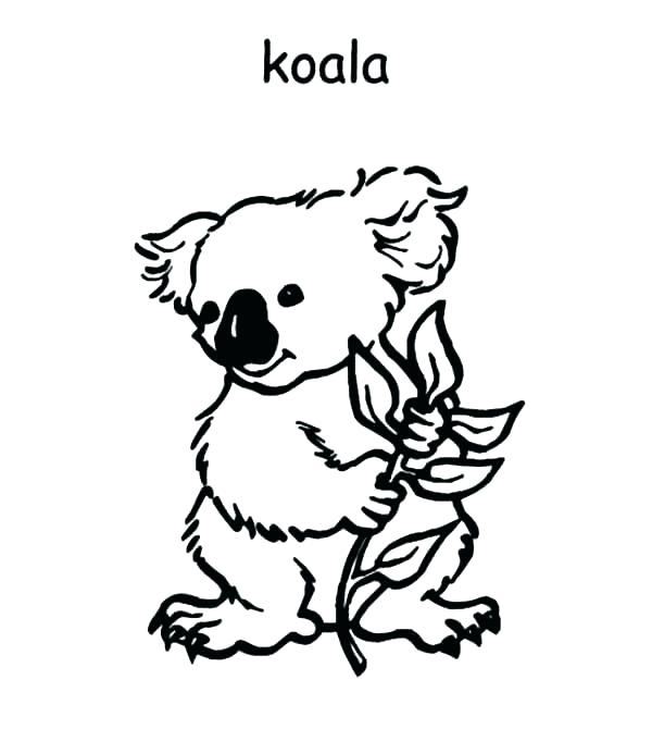 600x693 Australia Map Coloring Page Australia Map Colouring Page
