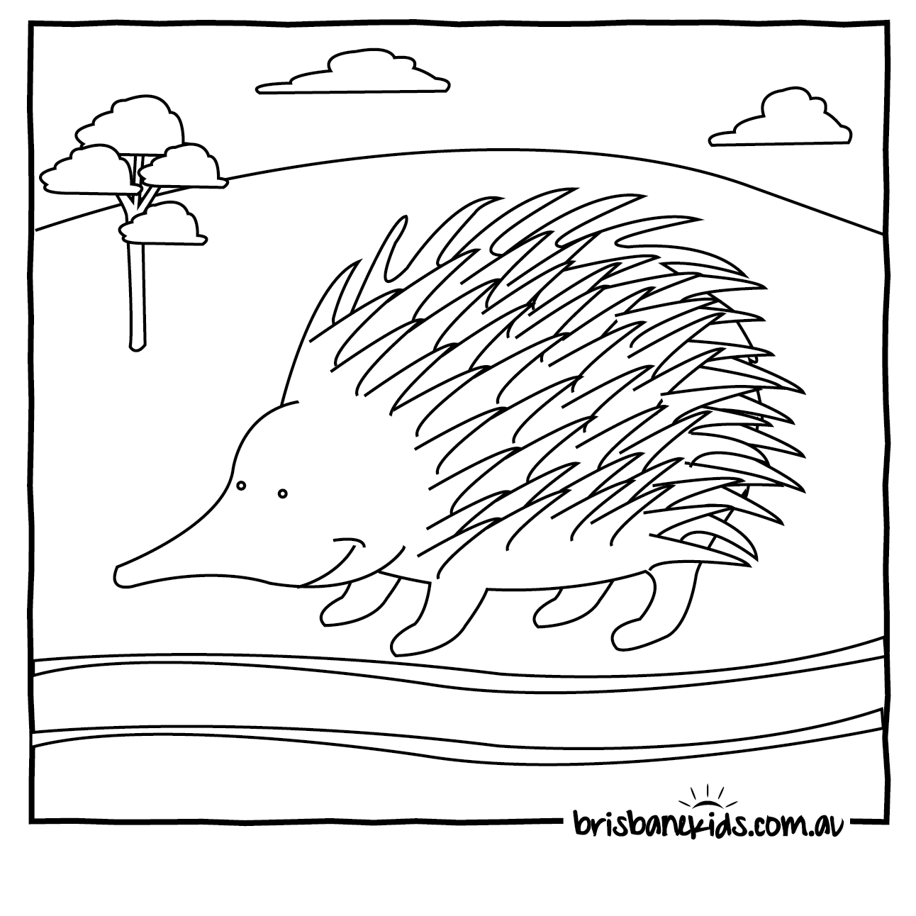 1292x1292 Australian Animals Colouring Pages Brisbane Kids