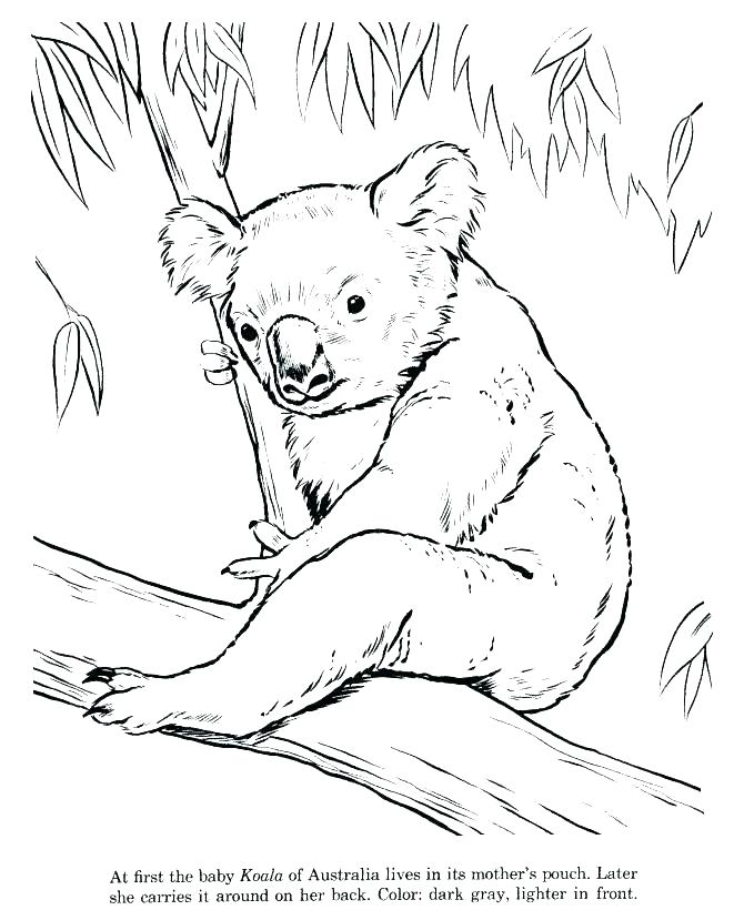 670x820 Australian Flag Coloring Page Flag Coloring Page Coloring Pages