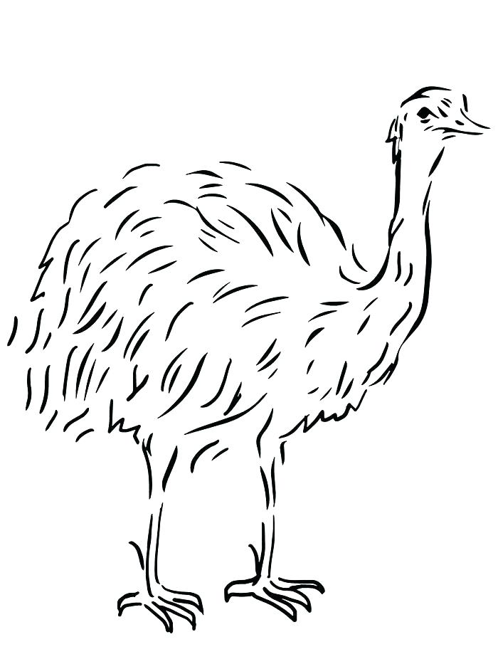 700x933 Australian Flag Coloring Page Flag Of Coloring Page Coloring Pages