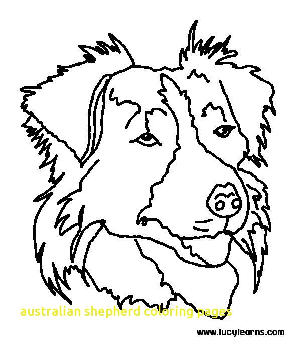 590x677 Australian Shepherd Coloring Pages With Best 25 Dog Coloring Page