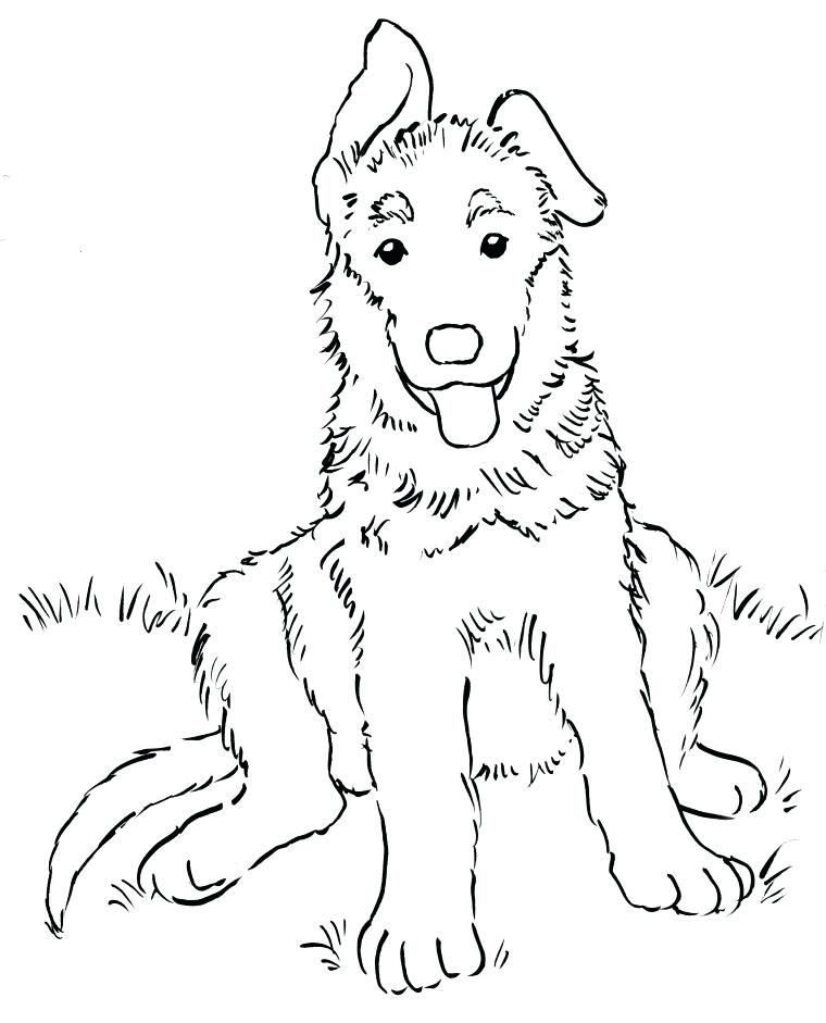 760x941 Australian Shepherd Puppy Coloring Pages Coloring Pages Day