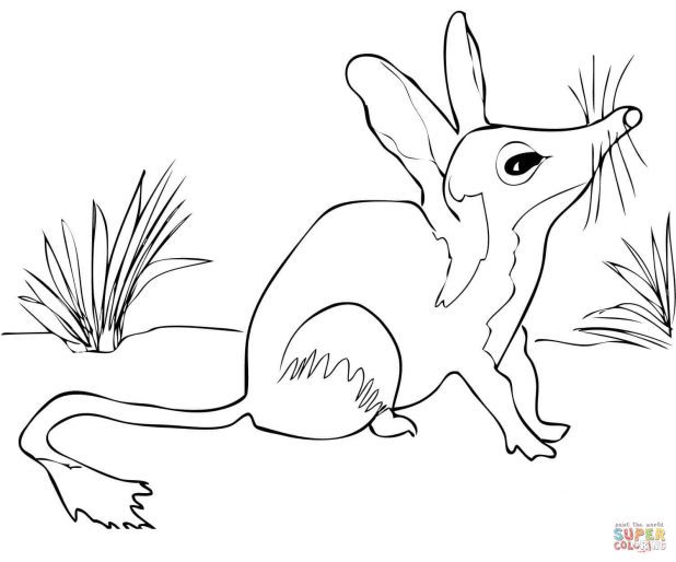618x514 Adult Australian Shepherd Coloring Pages Australian Shepherd