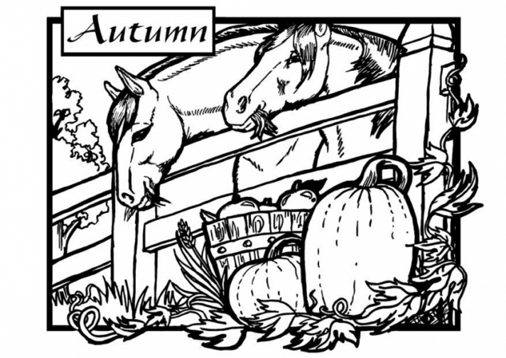 712x504 Fall Coloring Pages For All Ages Autumn Trees, Halloween