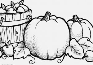 300x210 Fall Flowers Coloring Pages Photo Fresh Fall Flowers Coloring