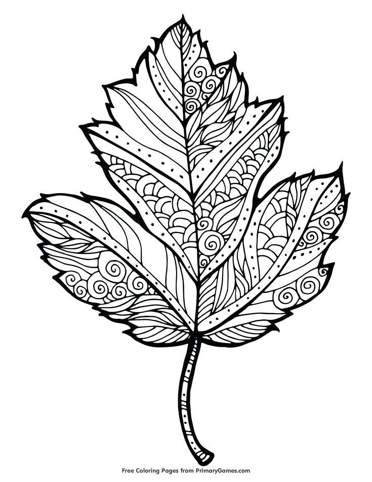 735x951 Coloring Pages. Autumn Coloring Pages For Adults