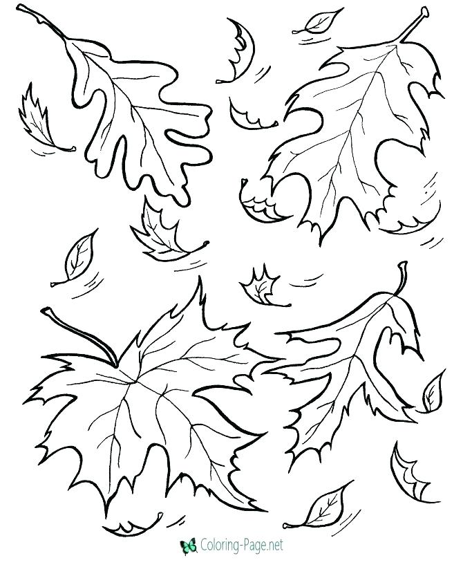 670x820 Fall Autumn Coloring Pages Fall Coloring Pages Fall Coloring Pages