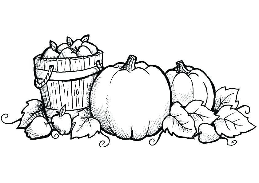 842x595 Fall Coloring Pages For Kids