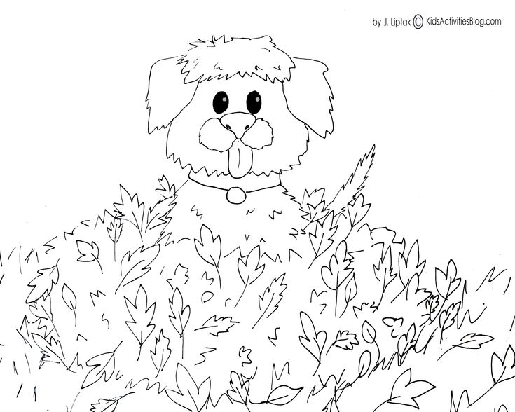 735x588 392 Best Unit Autumn Or Fall Images On Fall Crafts