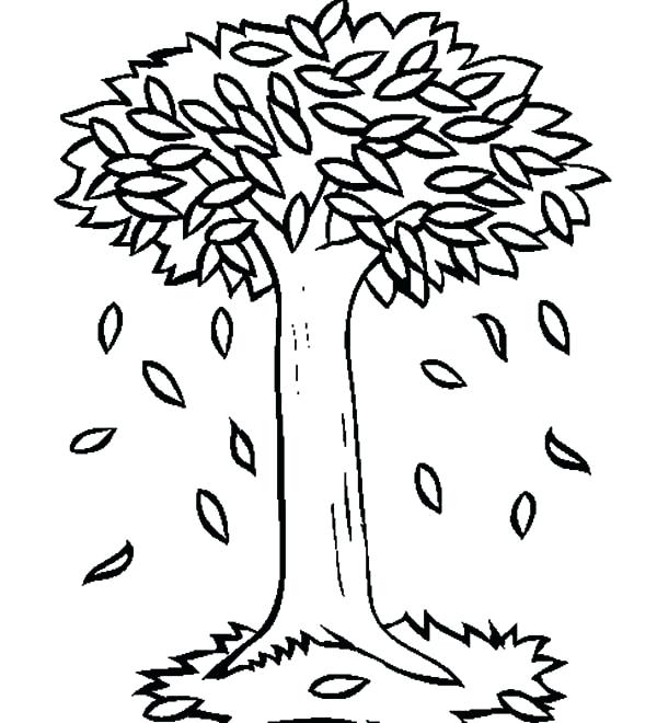 600x660 Autumn Coloring Pages Big Trees In Autumn With Fall Leaf Coloring