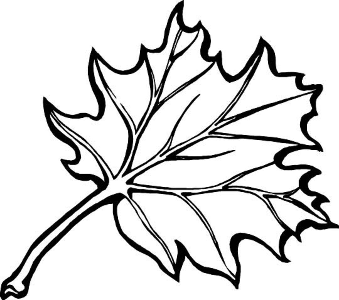 1080x956 Autumn Borders Colouring Pages Coloring Pages Fall
