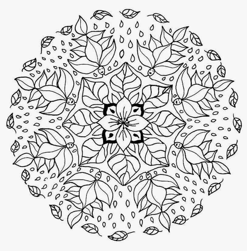 813x827 Glamorous Fall Mandala Coloring Pages 167 Best Mandalas Images