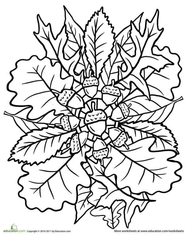 609x764 Fall Mandala Coloring Pages