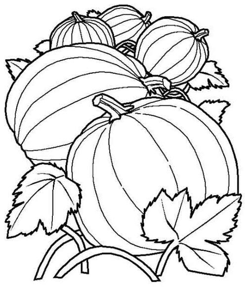 Autumn Themed Coloring Pages