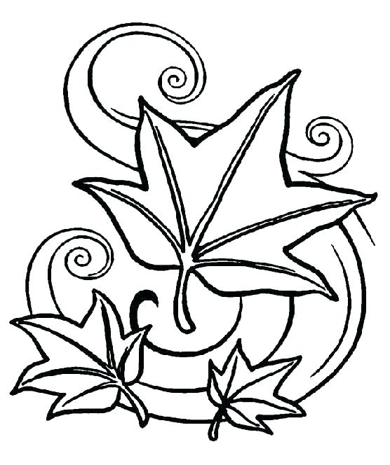 556x664 Fall Leaves Coloring Sheets Fall Foliage Coloring Pages Fall Leaf