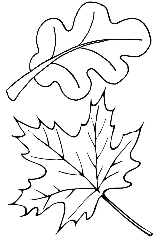 600x900 Fall Themed Coloring Pages Fall Themed Coloring Pages Autumn