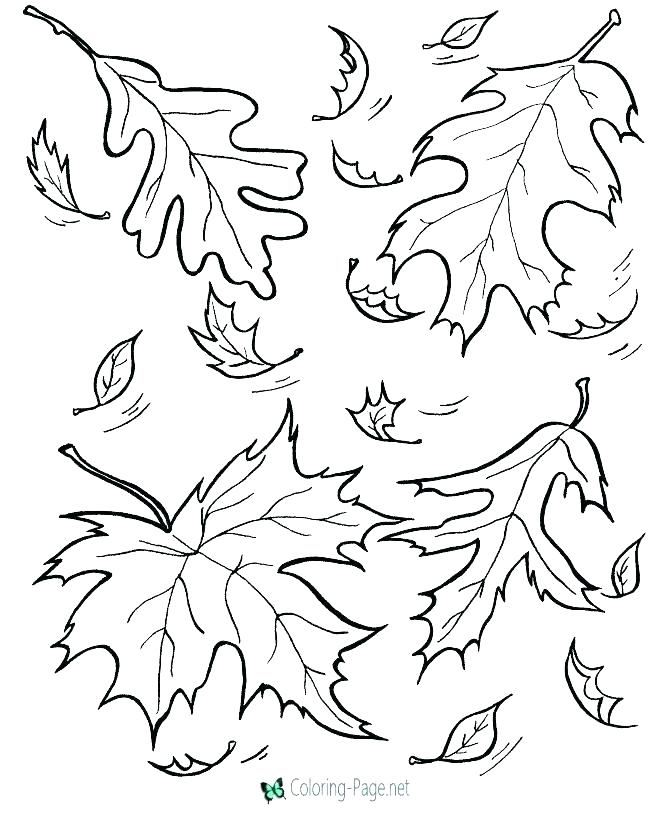 670x820 Autumn Colouring Sheets Autumn Coloring Pages For Adults Printable