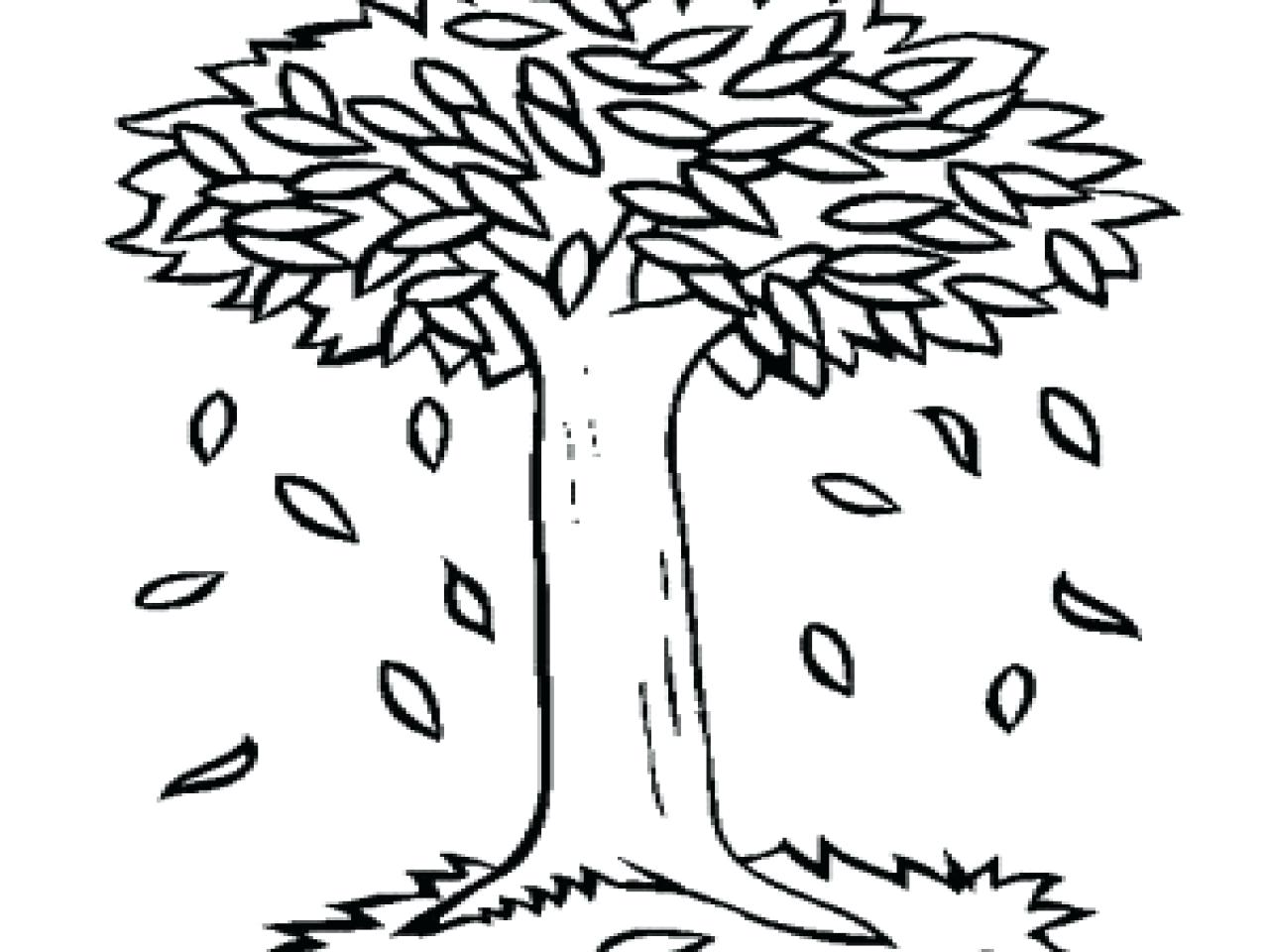 1280x960 Autumn Tree Coloring Pages Printable Sheets With Page