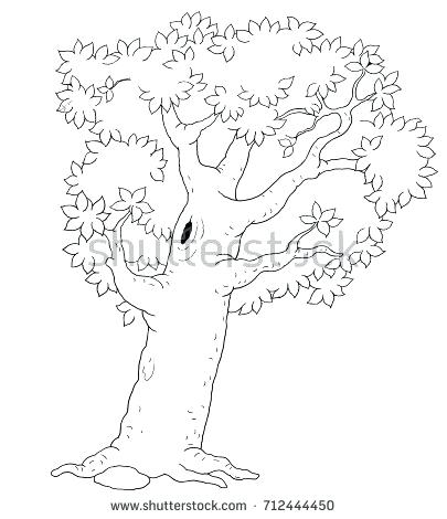 405x470 Cartoon Spider Pictures Coloring Pages Tree Leaves Coloring Tree