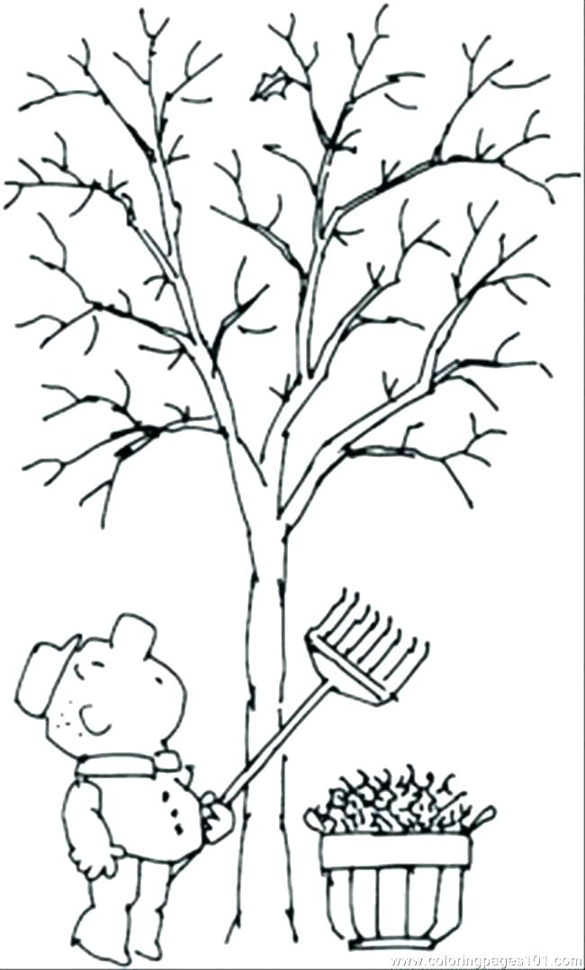650x1078 Fall Tree Coloring Page Amazing Tree Coloring Pages Printable Free