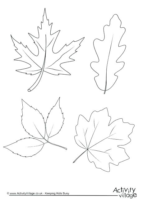 460x650 Fall Tree Coloring Page Fall Tree Coloring Page Autumn Leaves