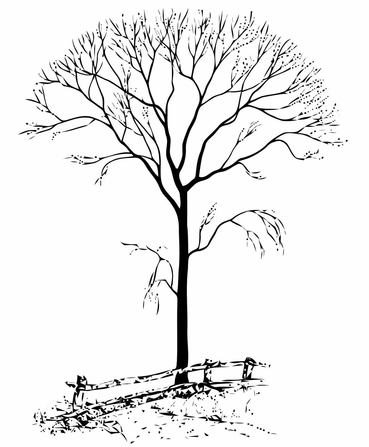 1240x1502 Fall Tree Coloring Pages