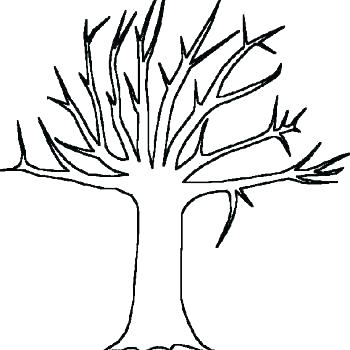350x350 Fall Tree Coloring Pages Packed With Palm Trees Coloring Pages