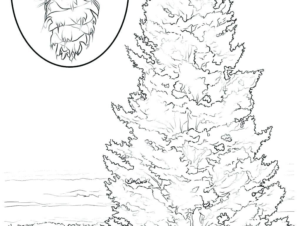 1020x768 Free Autumn Tree Coloring Pages Kids Coloring Fall Tree Coloring
