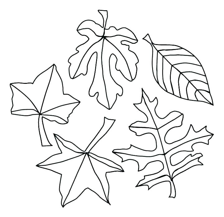 720x699 Tree Without Leaves Coloring Page Trees Coloring Pages Click