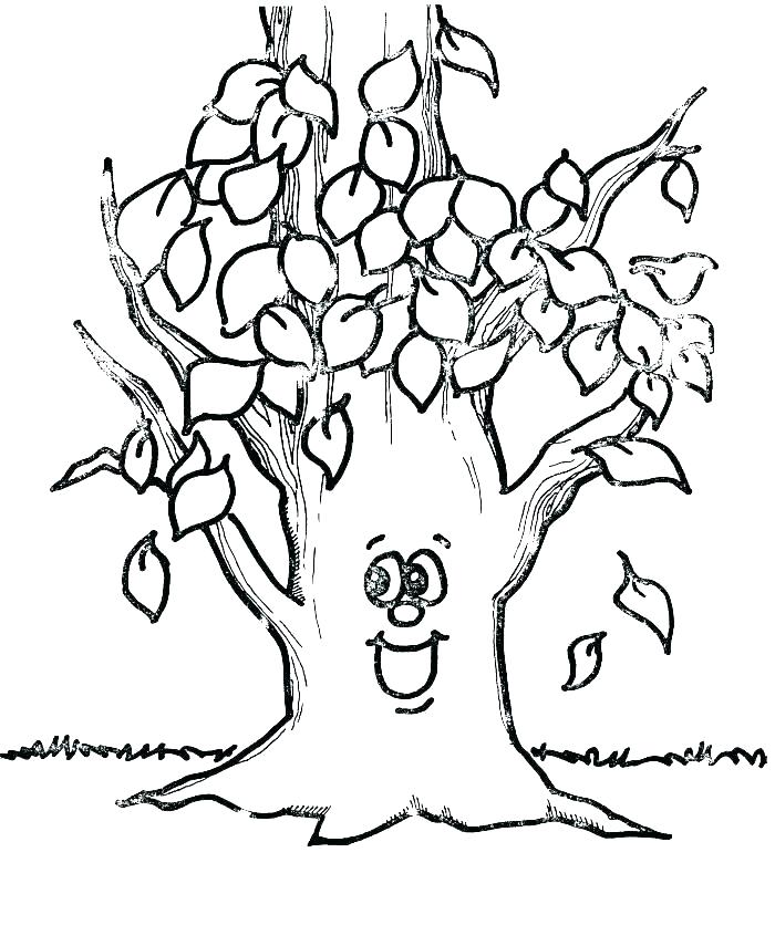 700x855 Tree Without Leaves Coloring Page Shippa.co