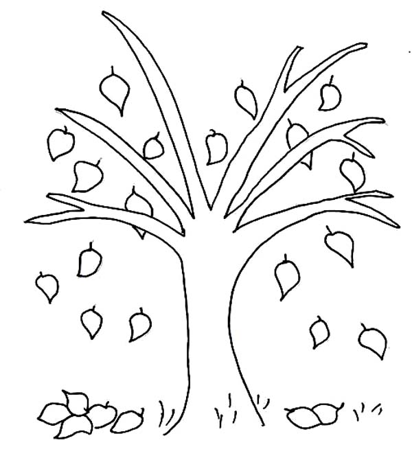 600x683 Autumn Tree Coloring Pages Batch Coloring