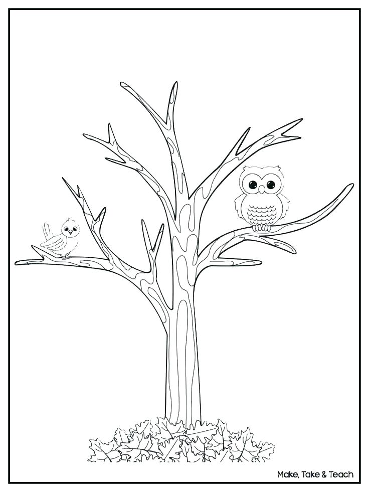 736x981 Autumn Tree Coloring Pages Printable Colouring For Humorous Fall