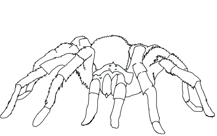 863x542 Page 2 Black Widow Logo Coloring Marvel Colouring Pages Free