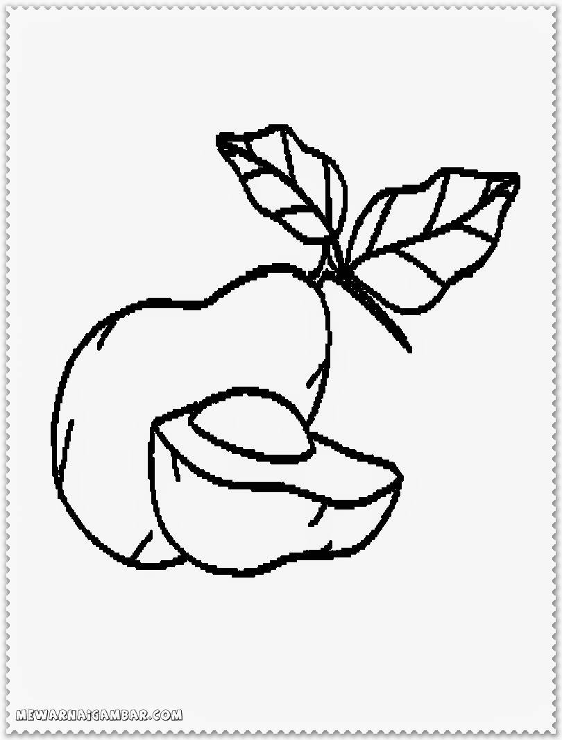 810x1066 Avocado Fruit Printable Coloring Pages
