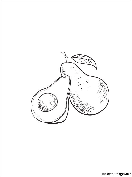560x750 Avocado Coloring Page To Print Out Coloring Pages