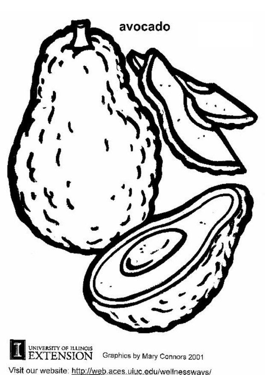 531x750 Coloring Page Avocado