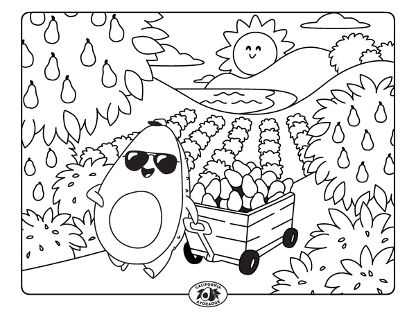 600x450 Create California Art With Avocado Coloring Sheets