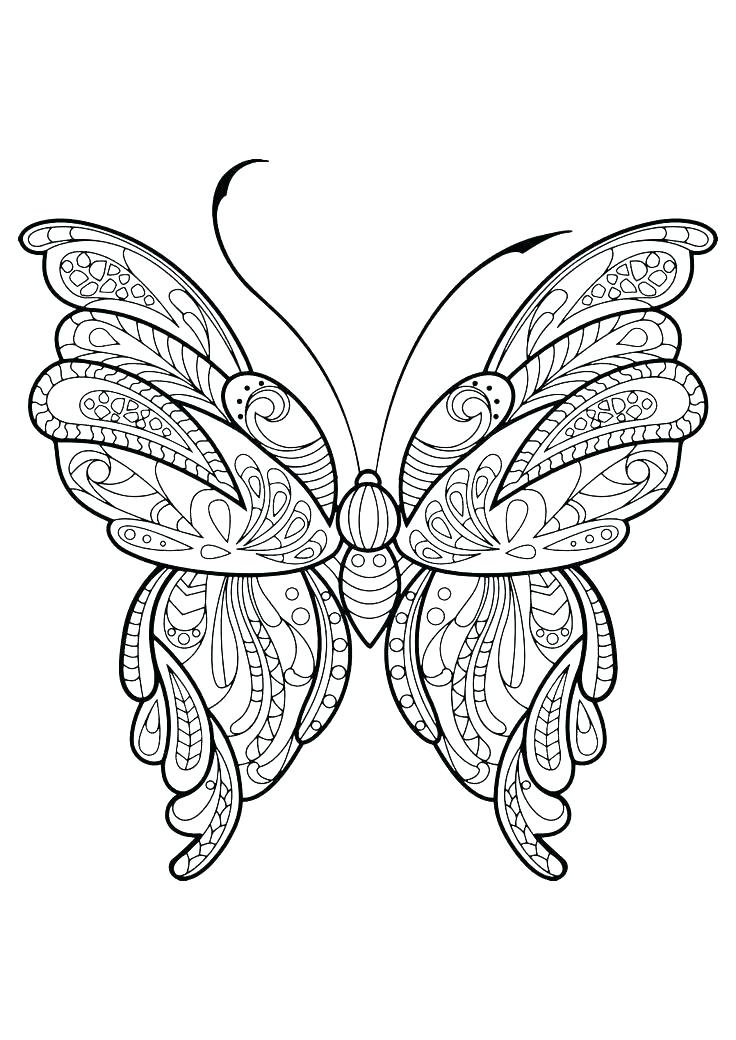 736x1040 Best Frog Life Cycles Ideas On In Life Cycle Of A X Frog Life