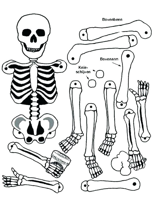 618x874 Skeleton Coloring Pages Printable Skeleton Coloring Page Skeleton