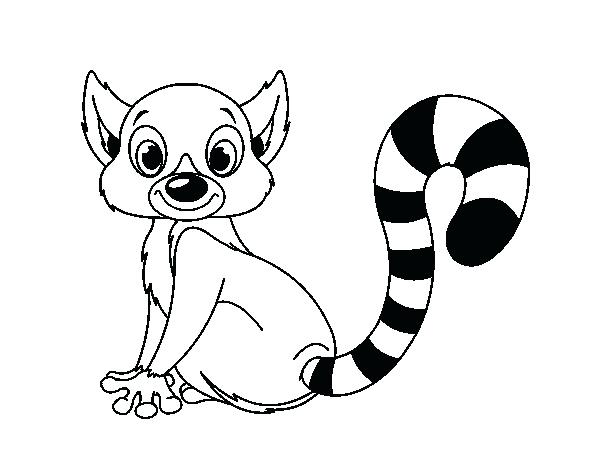 600x470 And Lemur Coloring Page Lemur Face Coloring Page