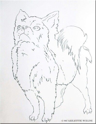 396x512 Chihuahua Coloring Page Aye Chihuahua