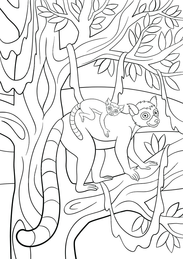 723x1023 Lemur Coloring Page Lemur Coloring Pages Aye Aye From Coloring