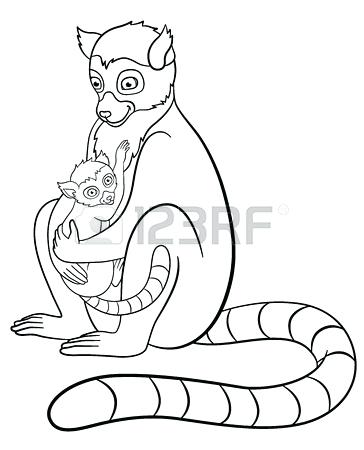 364x450 Lemur Coloring Pages Click To See Printable Version Of Aye Aye